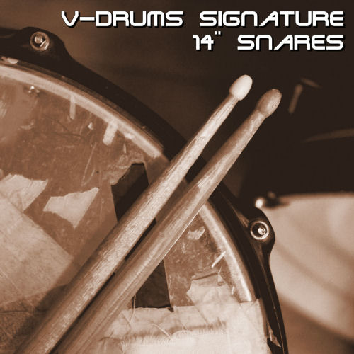 V-Drums Signature 14 Snares Smaller.jpg