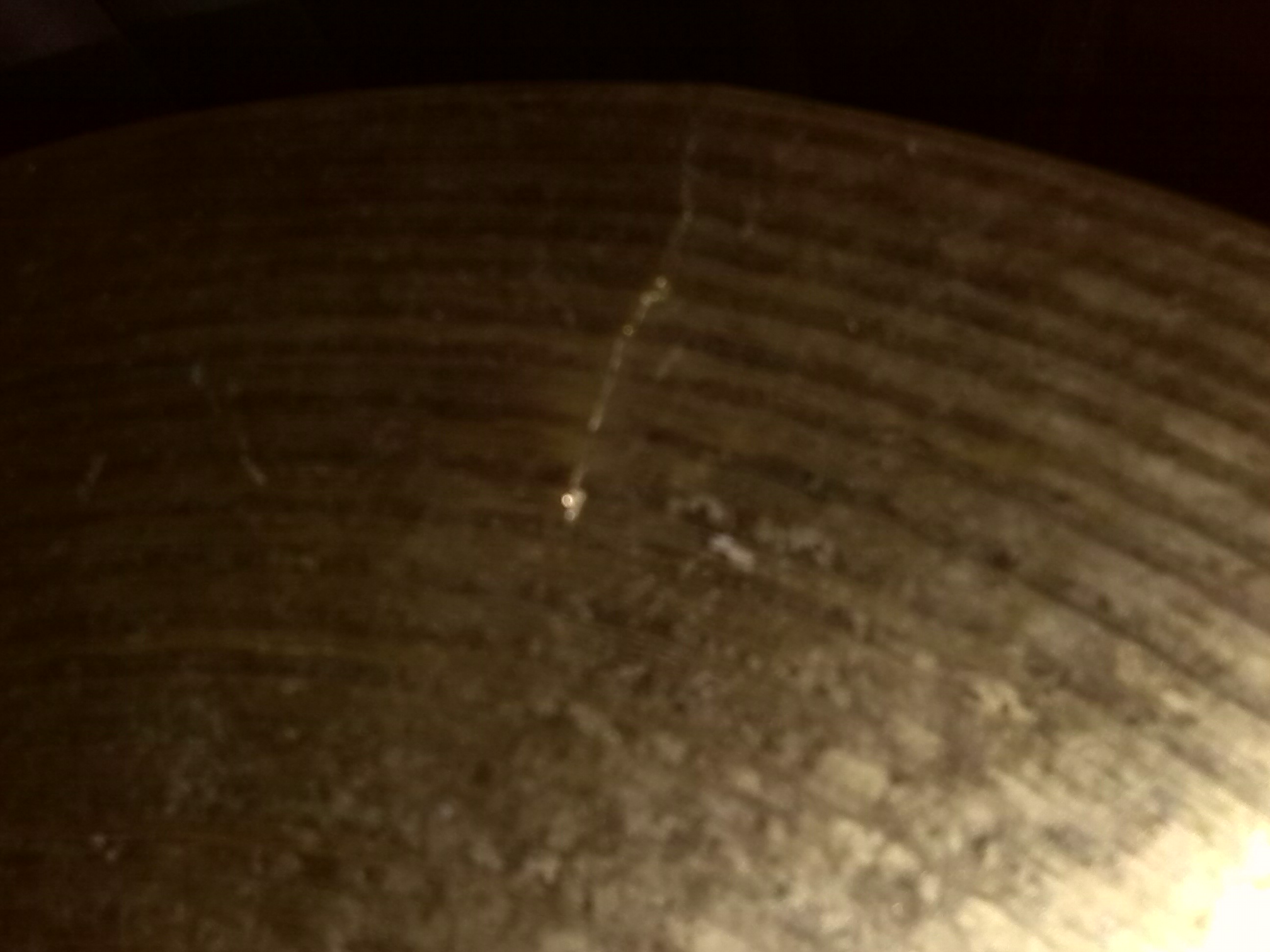 IMG_20150209_153005.jpg