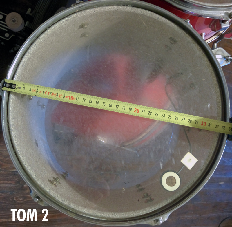 tom2.jpg