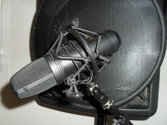 mic2.jpg